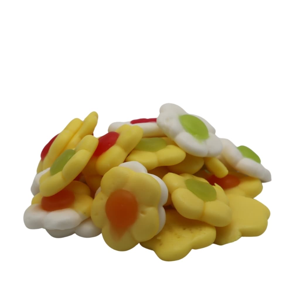 Colorful Sunflower 500g (Vegan)